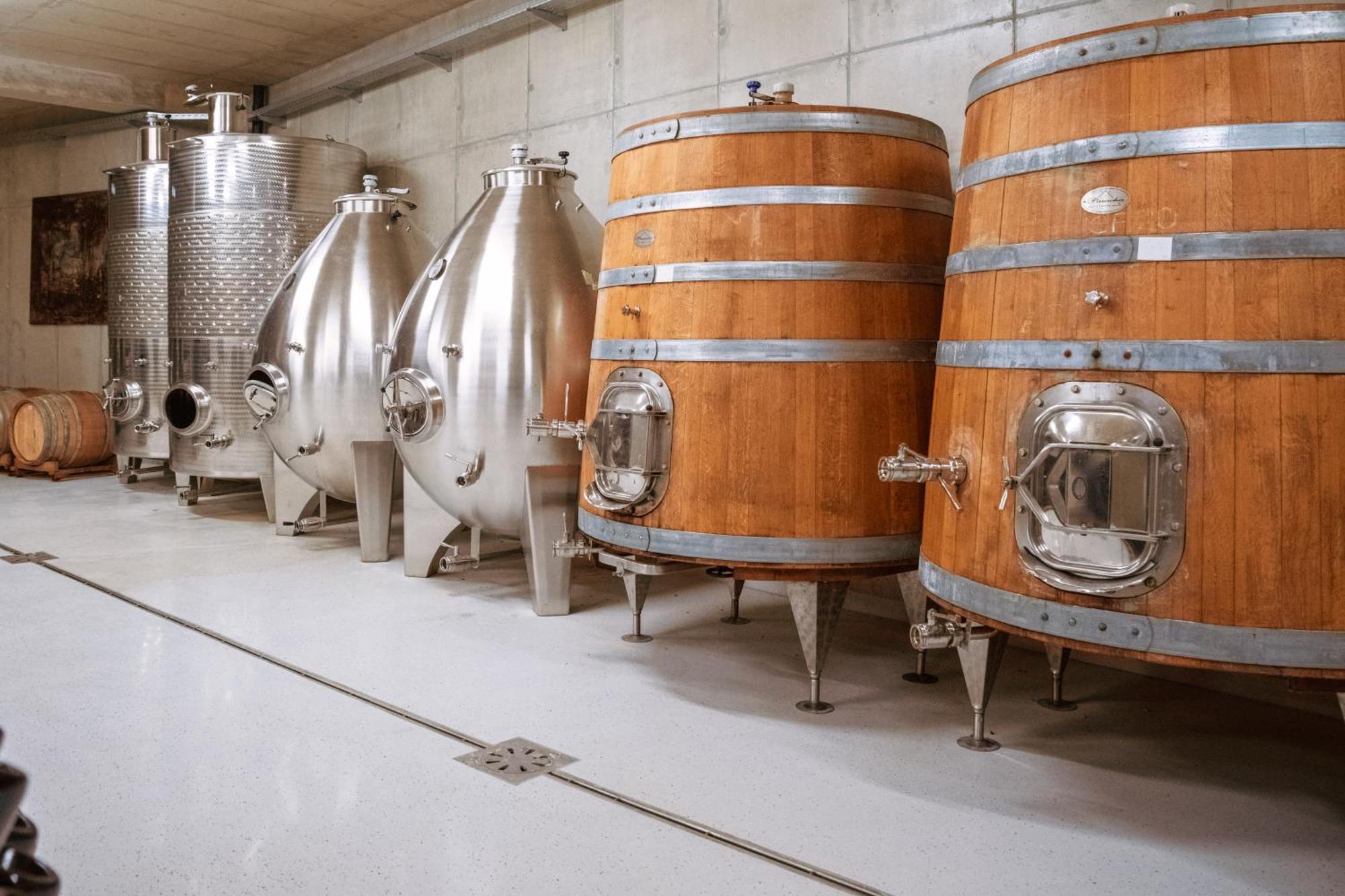 Posestvo Scurek Wine Panzió Dobrovo Kültér fotó