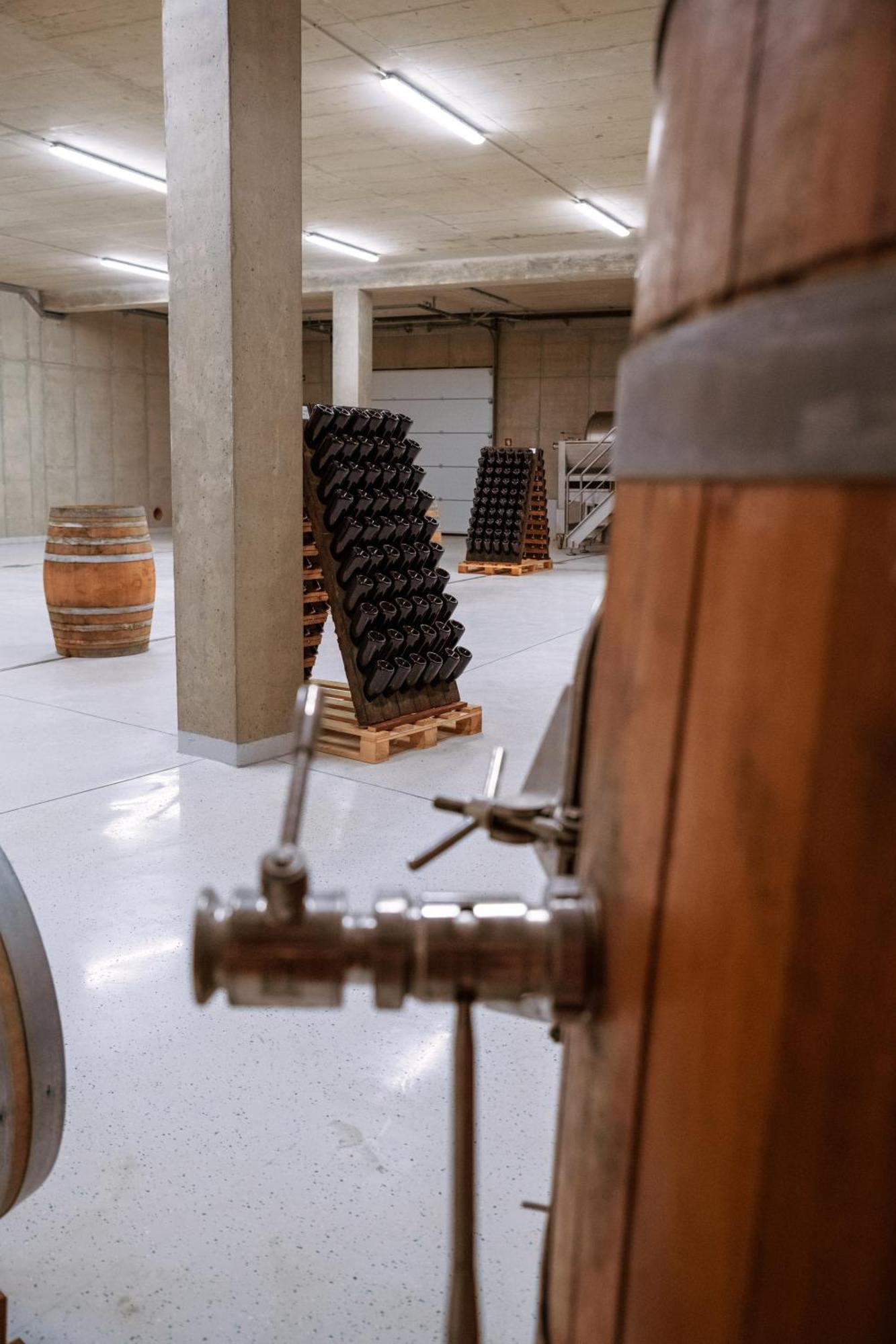 Posestvo Scurek Wine Panzió Dobrovo Kültér fotó
