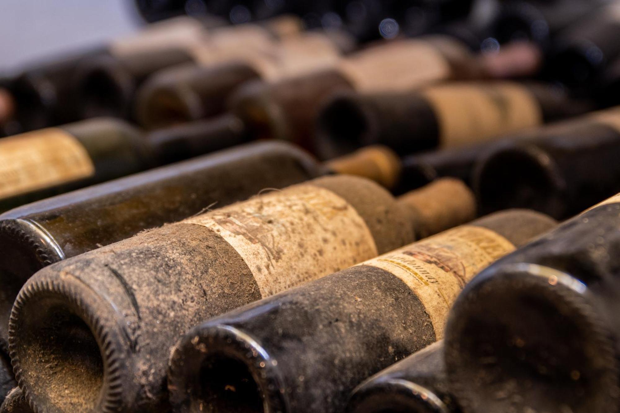 Posestvo Scurek Wine Panzió Dobrovo Kültér fotó