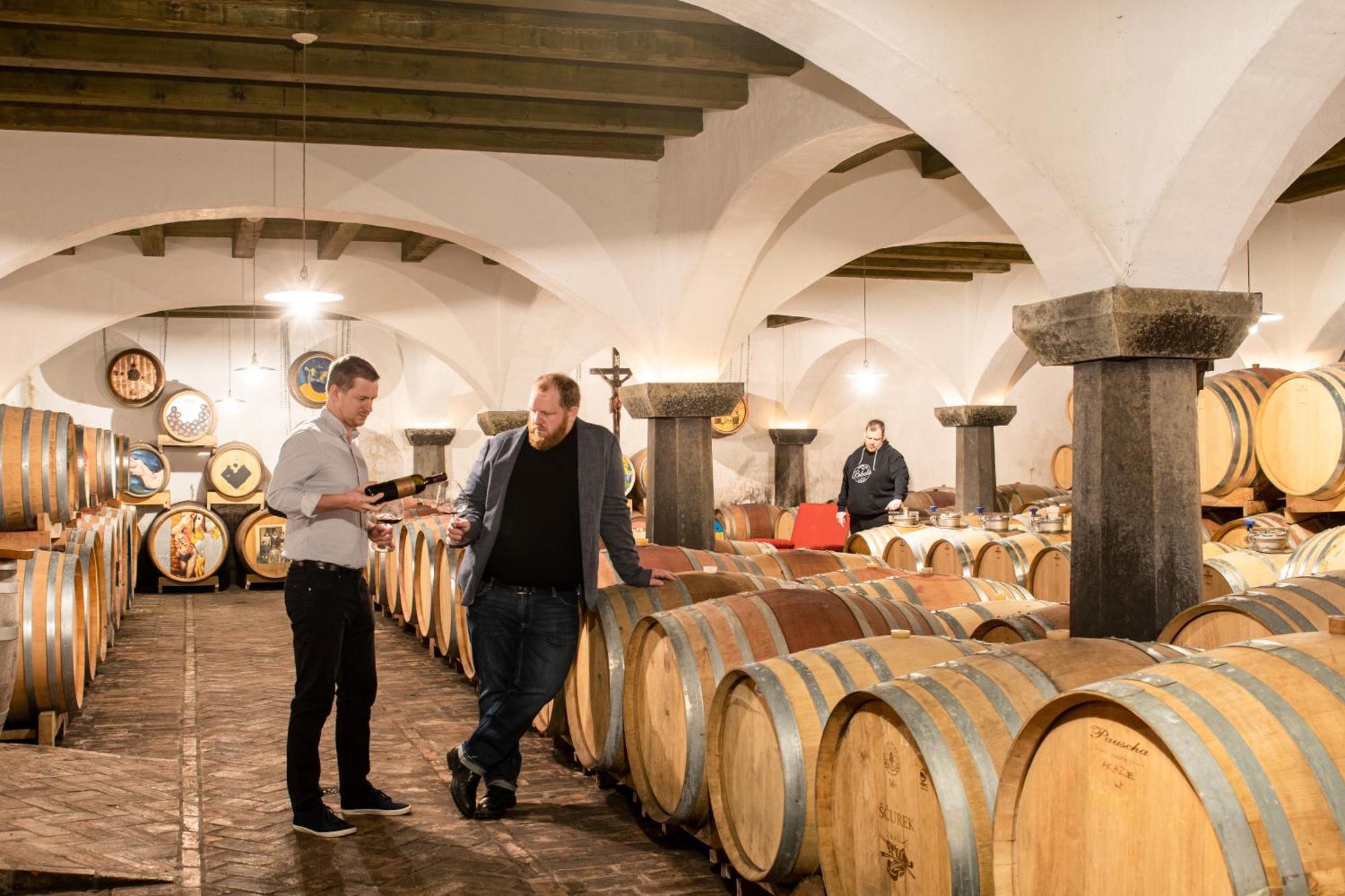 Posestvo Scurek Wine Panzió Dobrovo Kültér fotó