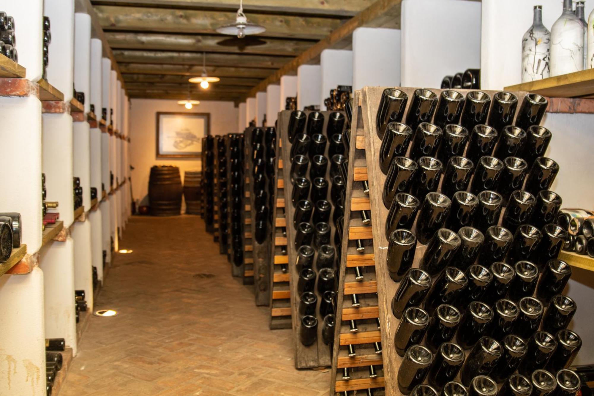 Posestvo Scurek Wine Panzió Dobrovo Kültér fotó