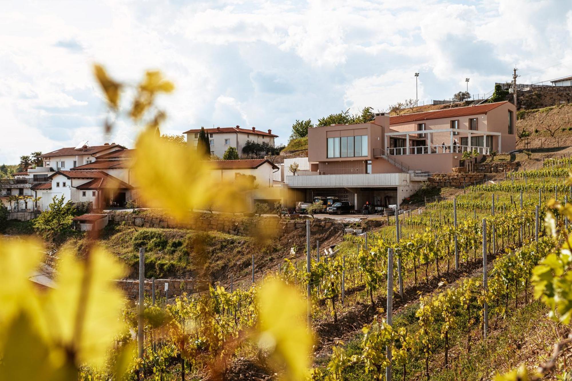 Posestvo Scurek Wine Panzió Dobrovo Kültér fotó