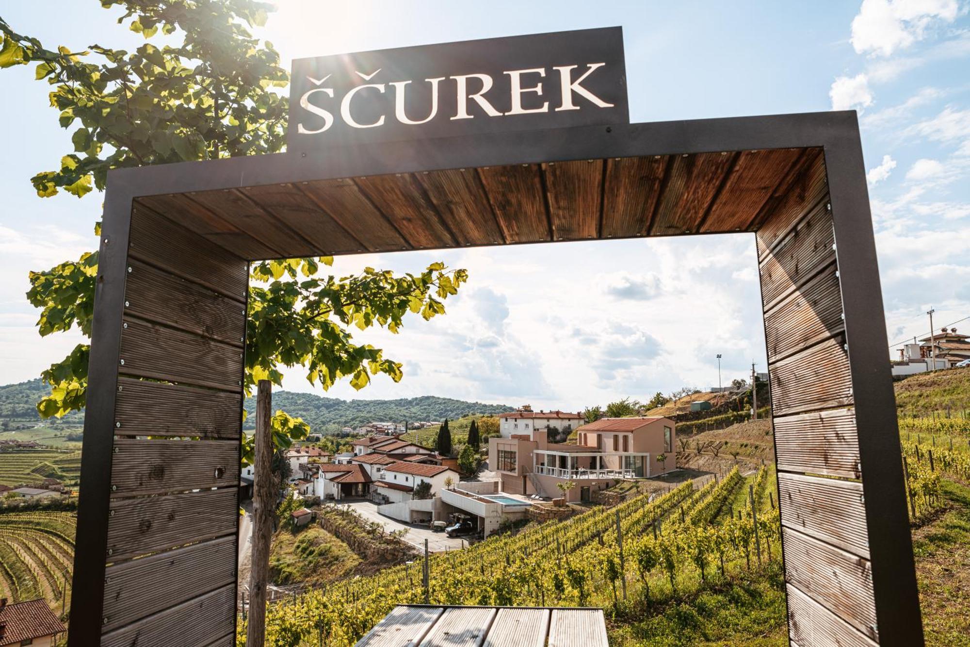 Posestvo Scurek Wine Panzió Dobrovo Kültér fotó