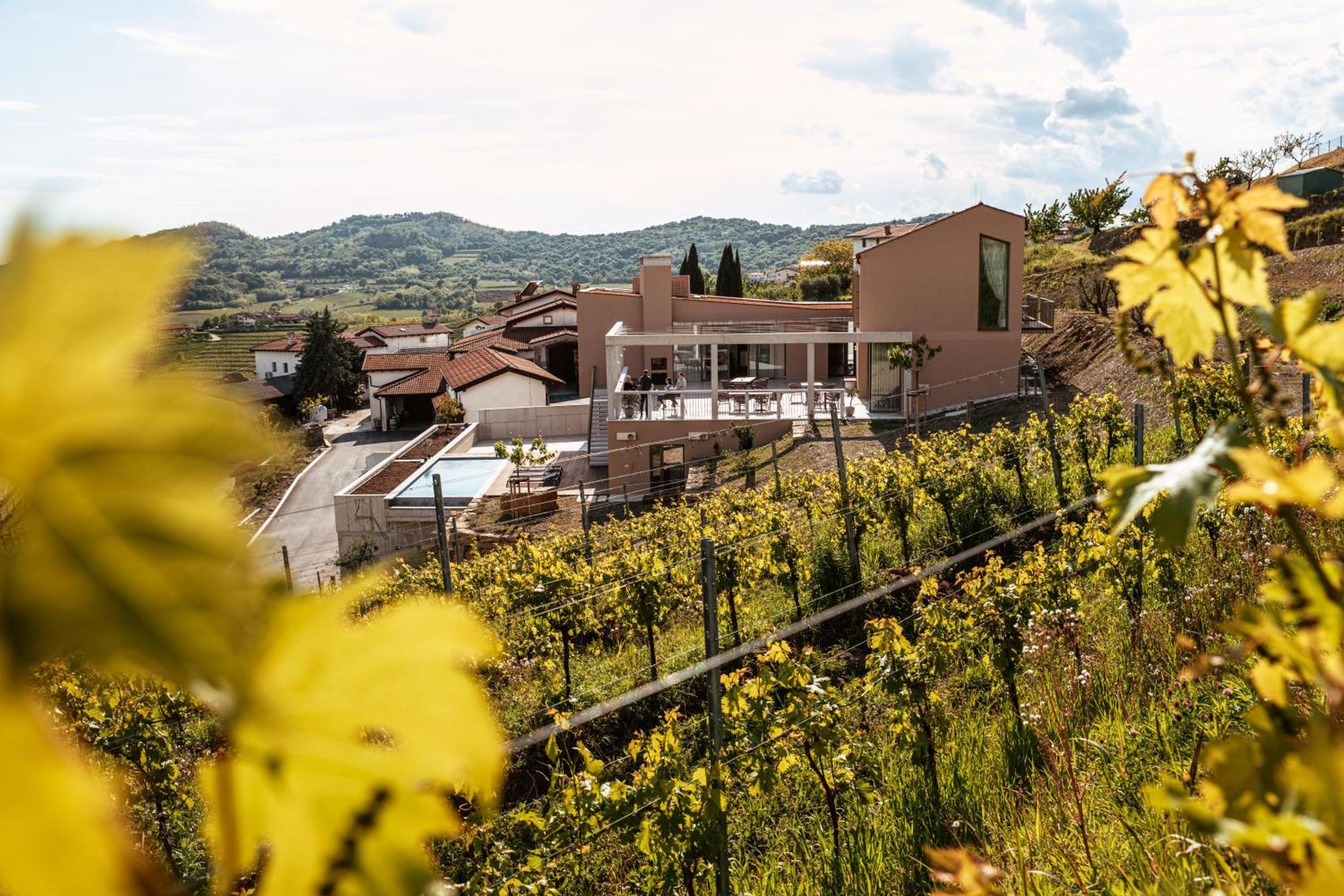 Posestvo Scurek Wine Panzió Dobrovo Kültér fotó