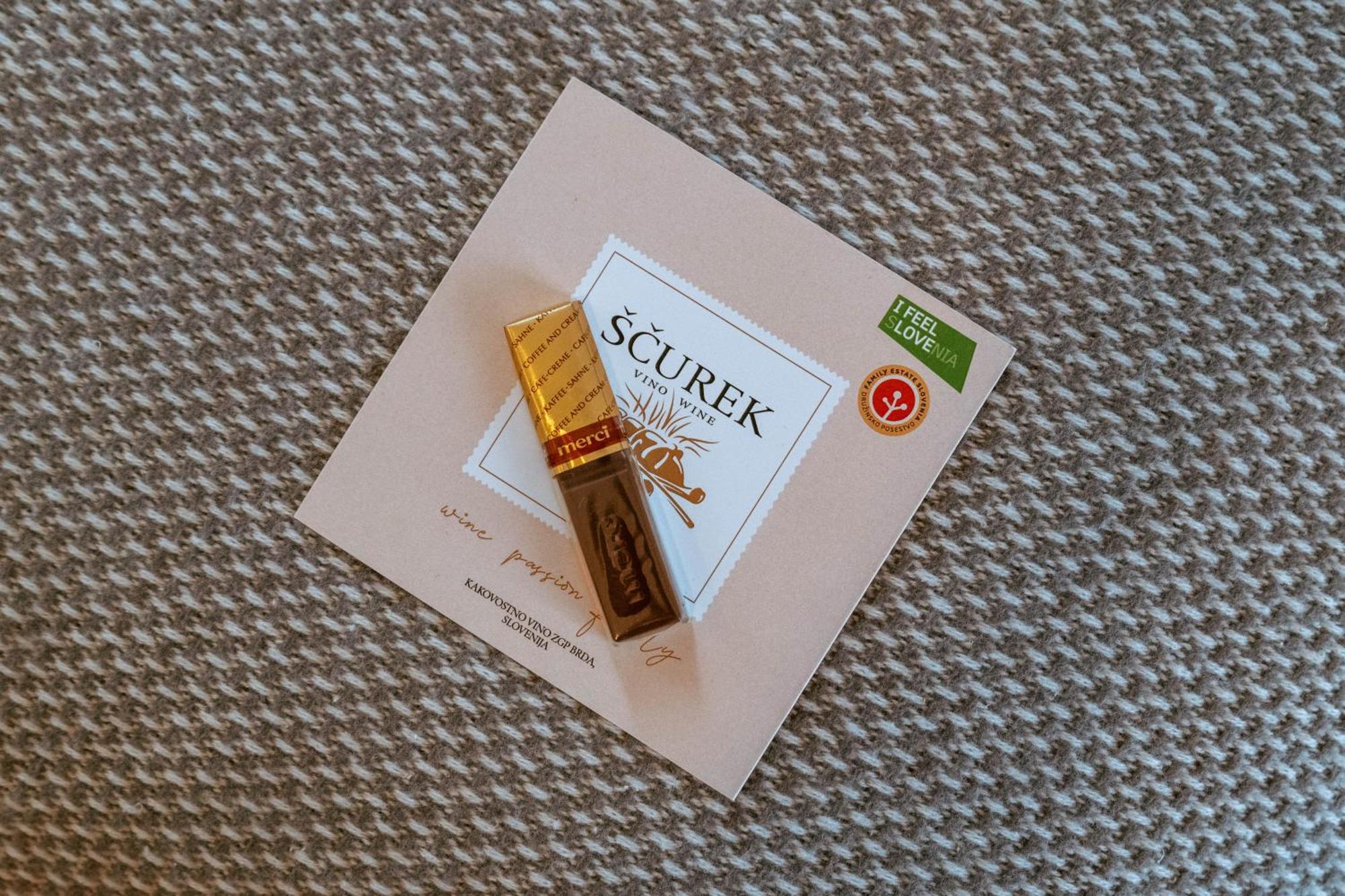 Posestvo Scurek Wine Panzió Dobrovo Kültér fotó
