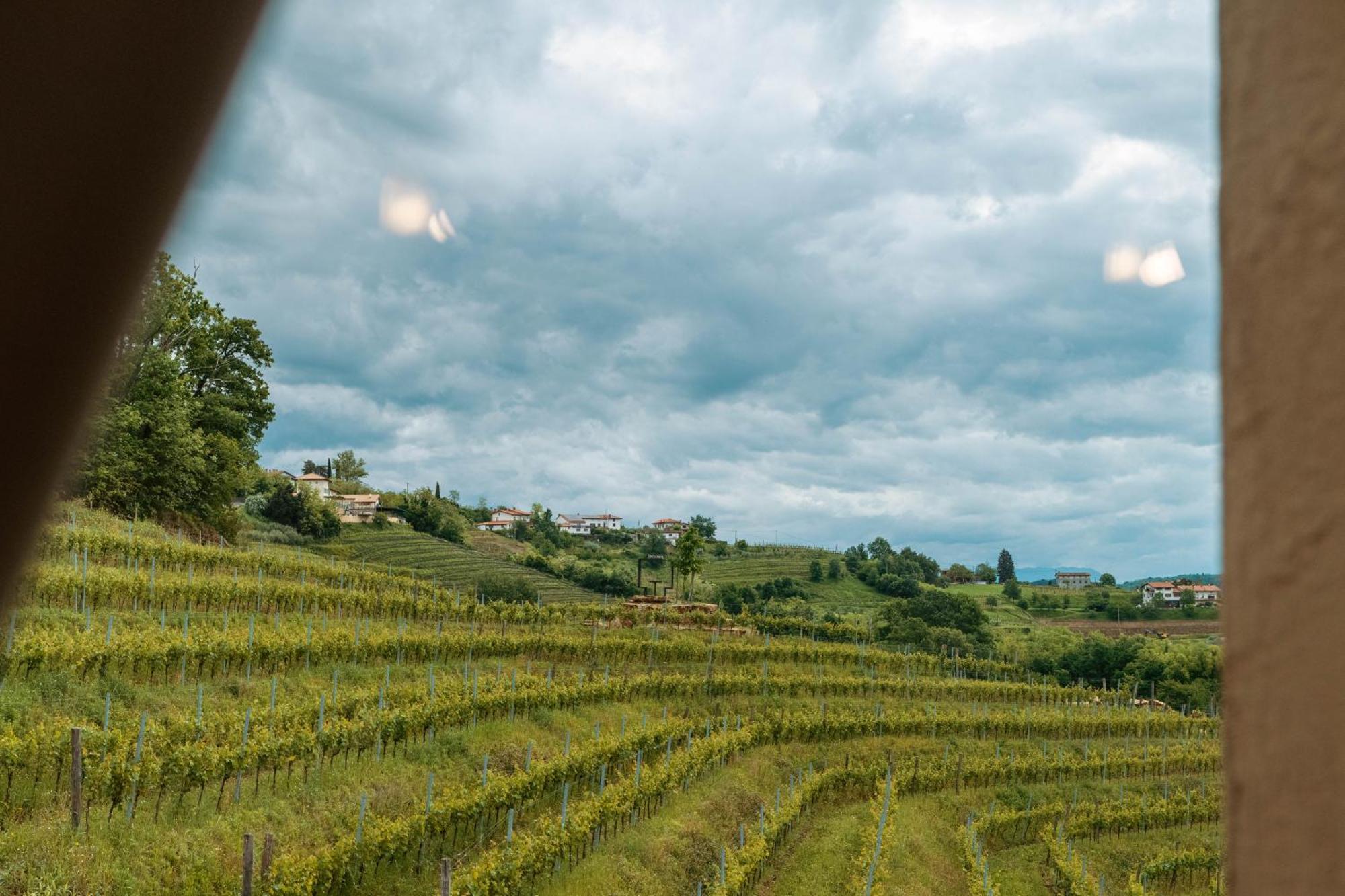 Posestvo Scurek Wine Panzió Dobrovo Kültér fotó